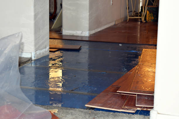 Professional Basement Flood Cleanup technician working in Ridgefield, NJ